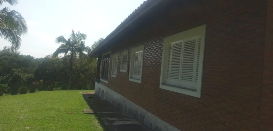Ótima Chácara em Suzano
