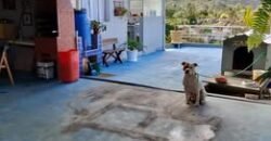 Casa à venda com desconto – Ouro Fino, Ribeirão Pires/SP