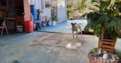 Casa à venda com desconto – Ouro Fino, Ribeirão Pires/SP