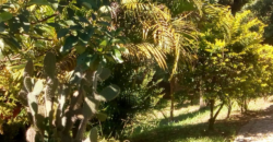 Oportunidade em Mauá – Vila Lisboa! 2.000m²