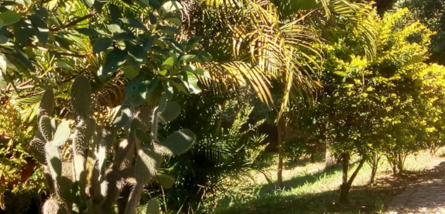 Oportunidade em Mauá – Vila Lisboa! 2.000m²