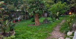 Chácara à venda em Suzano – 1.000 m² no Caulim por R$ 450 mil