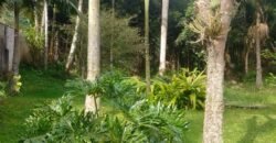 Chácara à Venda na Quarta Divisão – Ribeirão Pires/SP