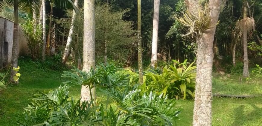 Chácara à Venda na Quarta Divisão – Ribeirão Pires/SP