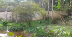 Chácara à Venda na Quarta Divisão – Ribeirão Pires/SP