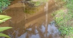 Chácara à Venda na Quarta Divisão – Ribeirão Pires/SP