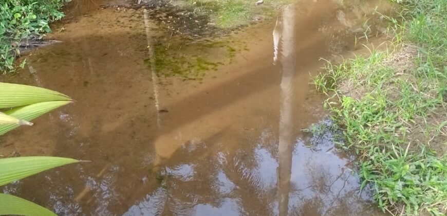 Chácara à Venda na Quarta Divisão – Ribeirão Pires/SP