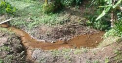 Chácara à Venda na Quarta Divisão – Ribeirão Pires/SP