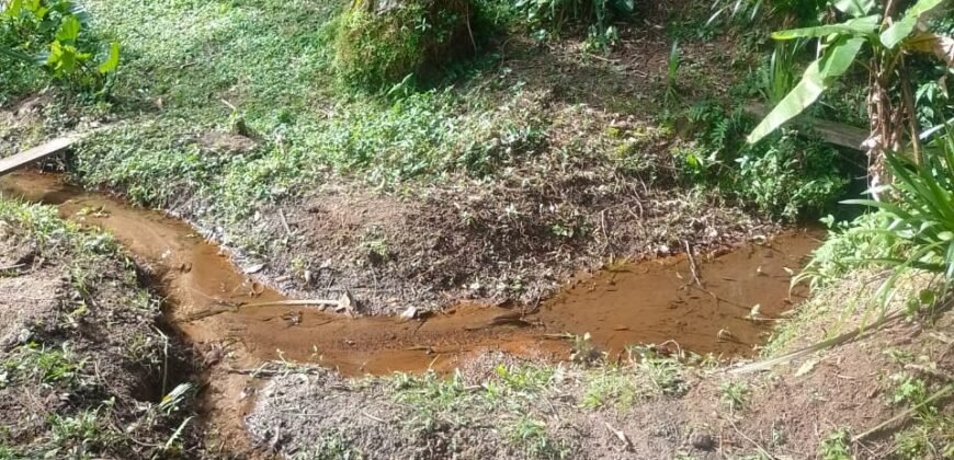 Chácara à Venda na Quarta Divisão – Ribeirão Pires/SP