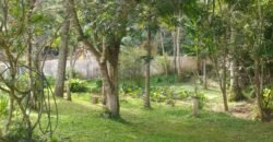 Chácara à Venda na Quarta Divisão – Ribeirão Pires/SP