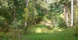 Chácara à Venda na Quarta Divisão – Ribeirão Pires/SP