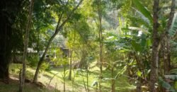 Chácara à Venda na Quarta Divisão – Ribeirão Pires/SP