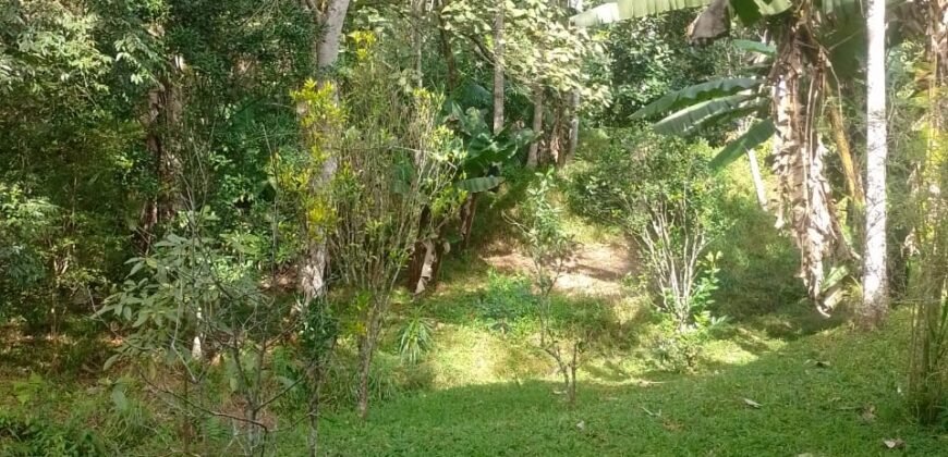 Chácara à Venda na Quarta Divisão – Ribeirão Pires/SP